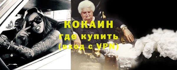 молекула духа Бородино