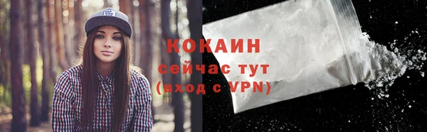 молекула духа Бородино