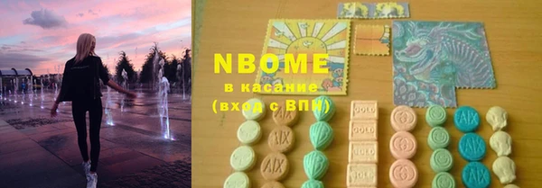молекула духа Бородино