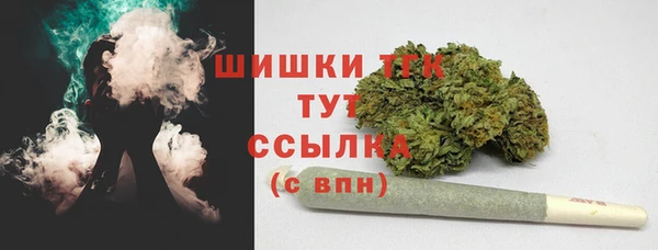 молекула духа Бородино