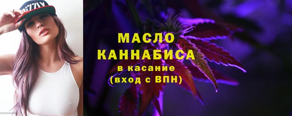 молекула духа Бородино