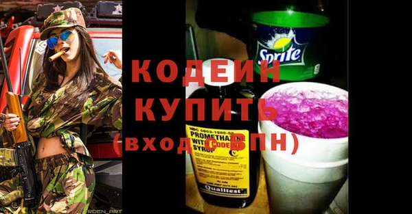 молекула духа Бородино