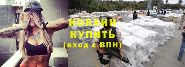 молекула духа Бородино